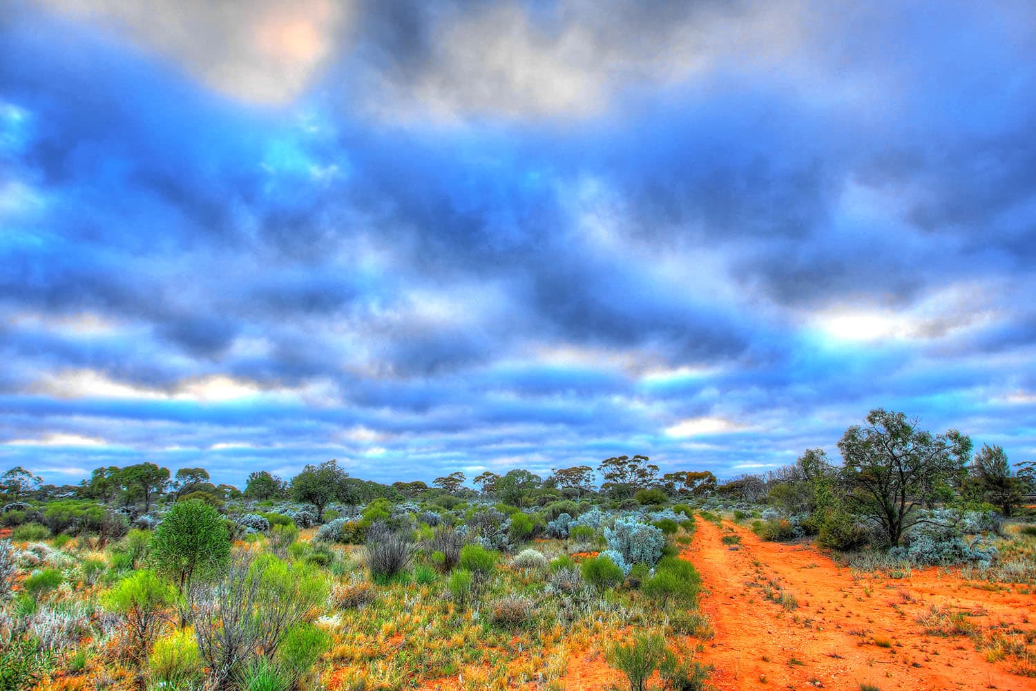 Redcastle Resources Advances WA Gold Production at Queen Alexandra and Redcastle Reef
