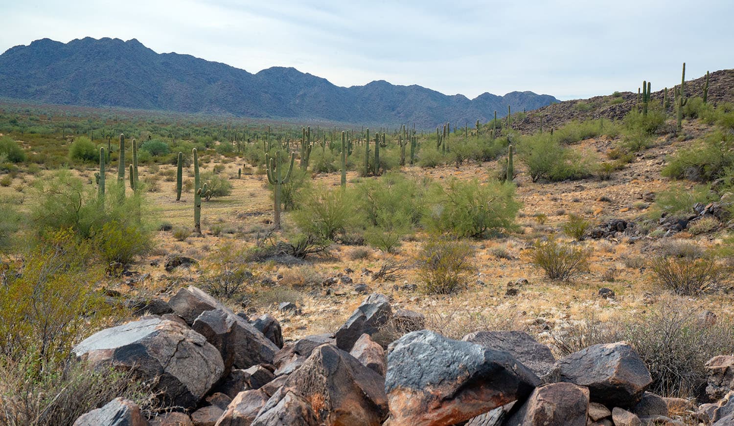 Kay is a high-grade polymetallic VMS project in Arizona where Arizona Metals has outlined an underground development pathway through its preliminary economic assessment.